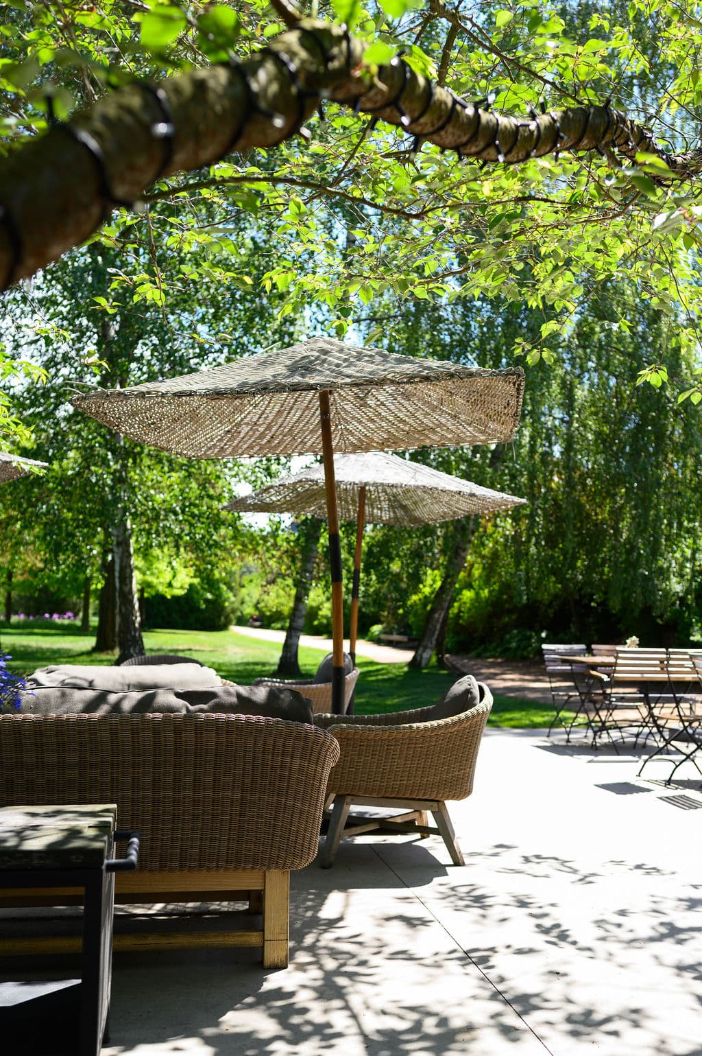 Dolní park zahrada