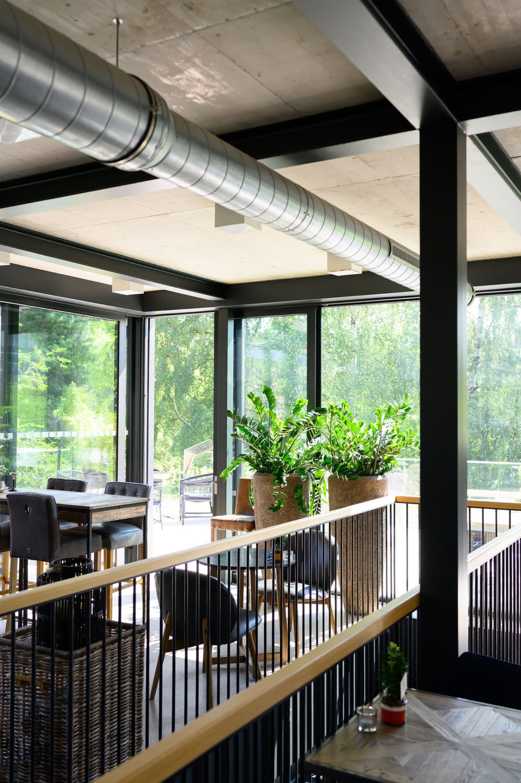 Rhipsalis Bar